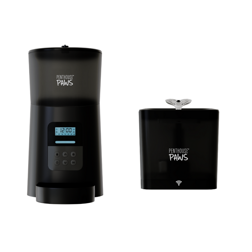Automatic Cat Feeder & Smart Water Fountain