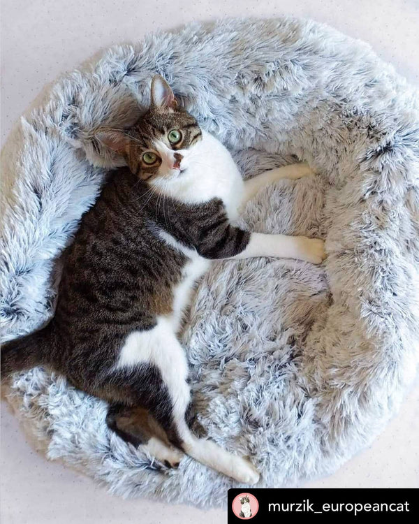 Mr. Peanut's 28" OrthoPlush® Pet Bed - Snowflake White Two Tone