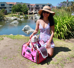 Mr. Peanut's Gold Series Standard Size Airline Compliant Pet Carrier