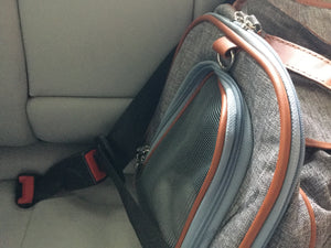 Mr. Peanut's Gold Series Standard Size Airline Compliant Pet Carrier