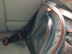 Mr. Peanut's Gold Series Big Apple Double Expandable Pet Carrier
