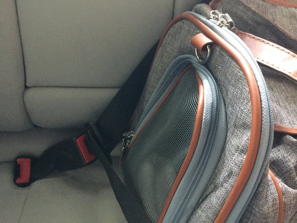 Mr. Peanut's Gold Series Big Apple XL Expandable Pet Carrier V3.0