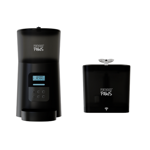 Automatic Cat Feeder & Smart Water Fountain
