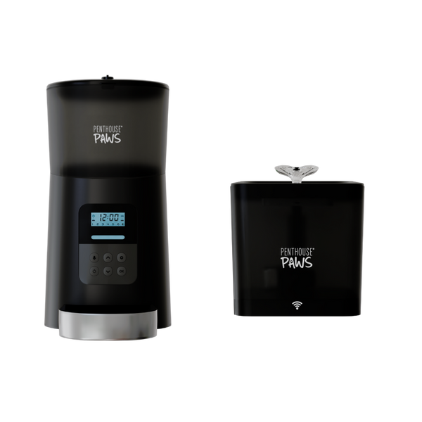 Automatic Cat Feeder & Smart Water Fountain