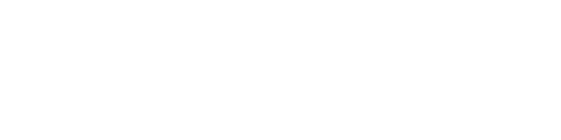 Groovy Bee